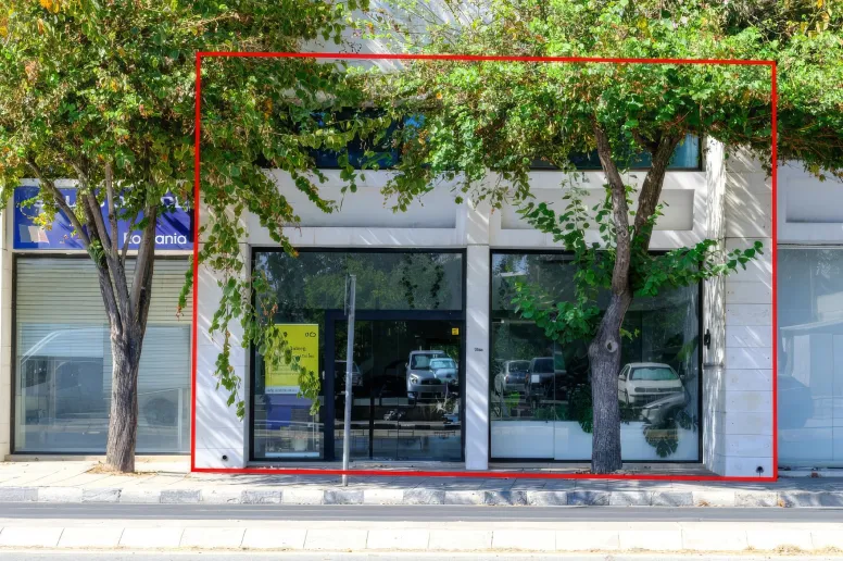 Office in Agioi Omologites, Nicosia