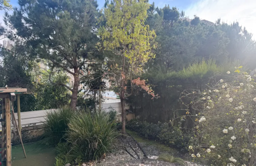 0-bedroom house - 18790, photo 20