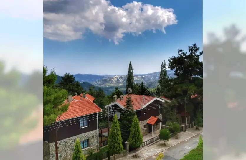 Plot - 13401, photo 3