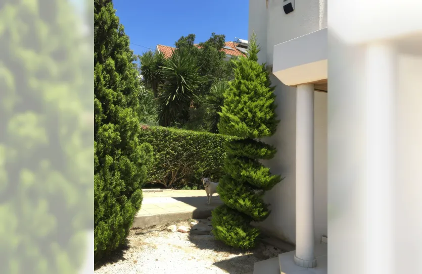 4-bedroom villa - 13766, photo 3