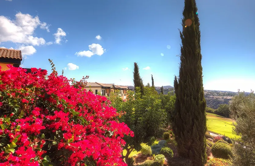 Дом с 4-мя спальнями - 12486, photo 31