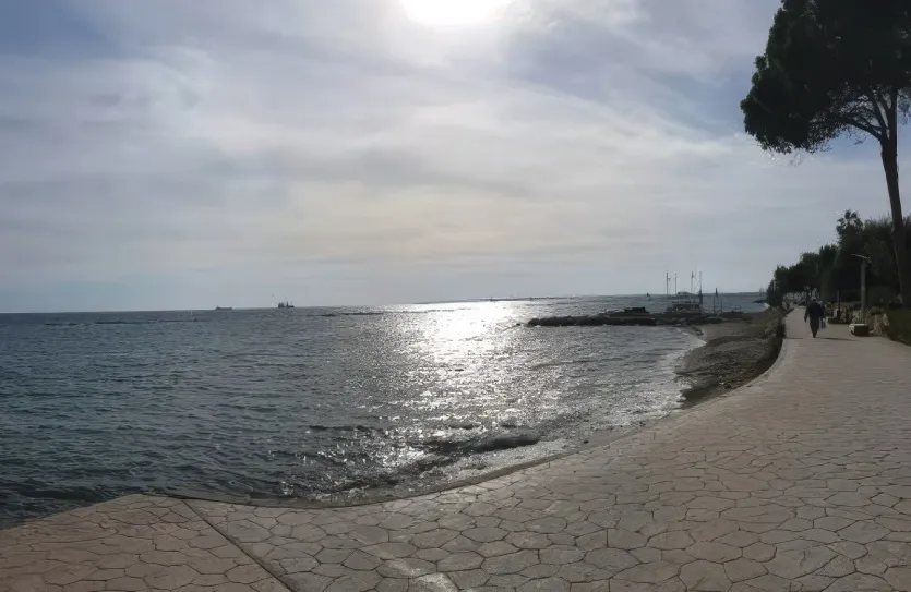 Квартира с 3-мя спальнями - 12590, photo 9