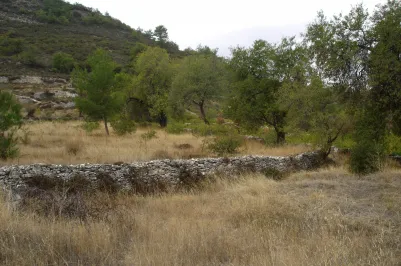 Residential plot - 12633, photo 1