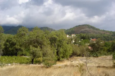 Residential plot - 12633, photo 2