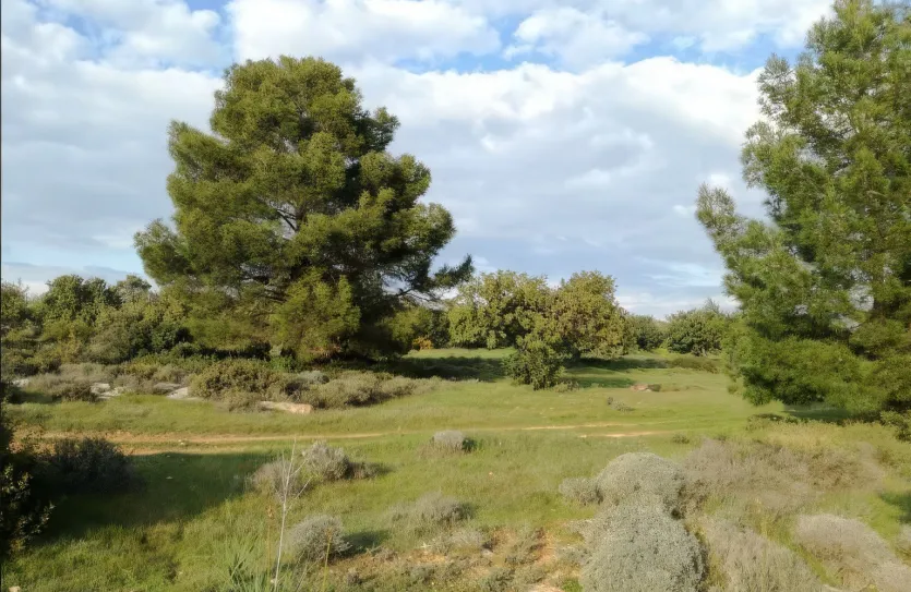 Plot for sale - 12762