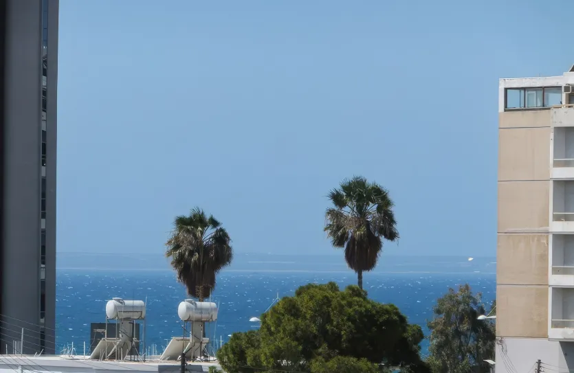 3-bedroom apartment - 12818, photo 13