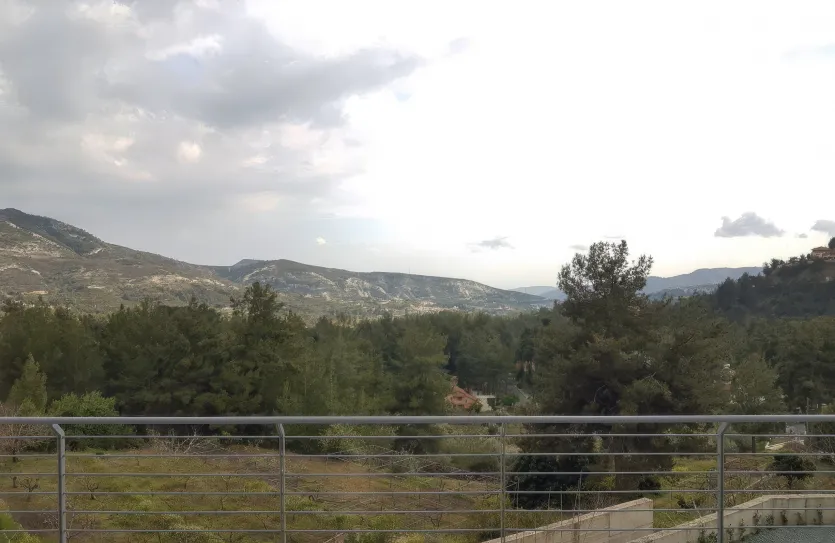 4-bedroom villa - 12941, photo 28