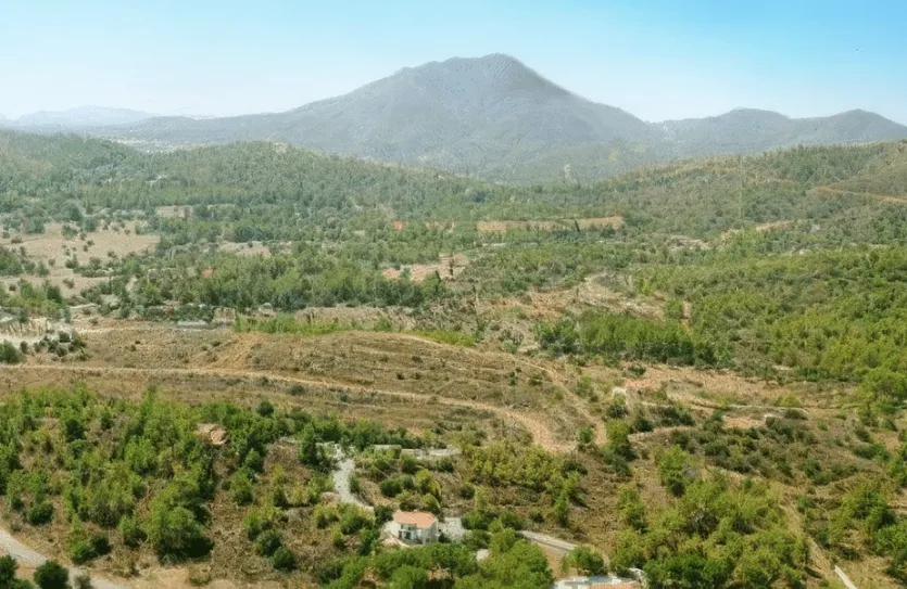 Plot for sale - 13031