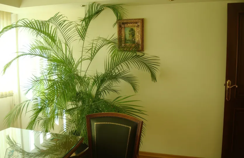 Office - 13034, photo 8