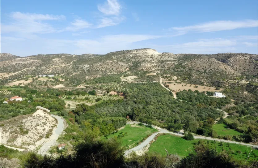 4-bedroom bungalow - 13087, photo 6