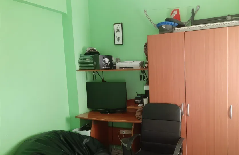 3-bedroom apartment for rent - 13144