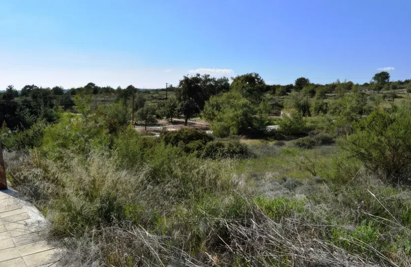 Residential plot - 13186, photo 4