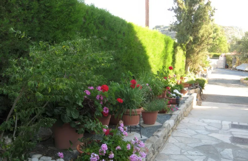 Дом с 4-мя спальнями - 13234, photo 4