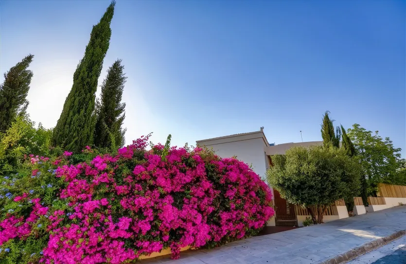 4-bedroom villa - 13309, photo 15