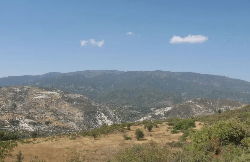 Plot for sale - 13340