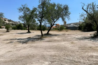 Residential plot - 13389, photo 1