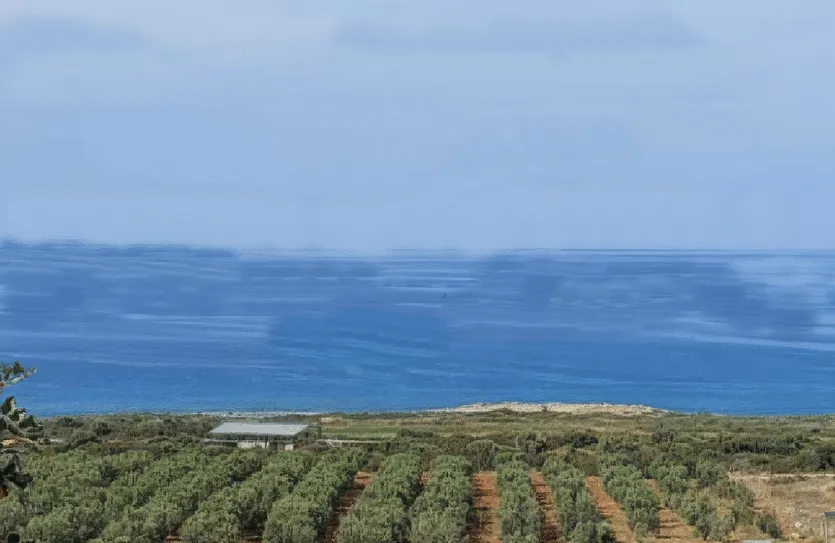 Plot for sale - 13400