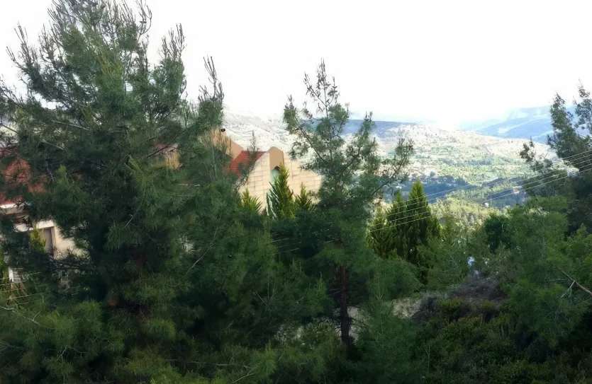 9-bedroom villa - 13478, photo 4