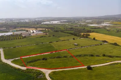 Land - 13646, photo 1