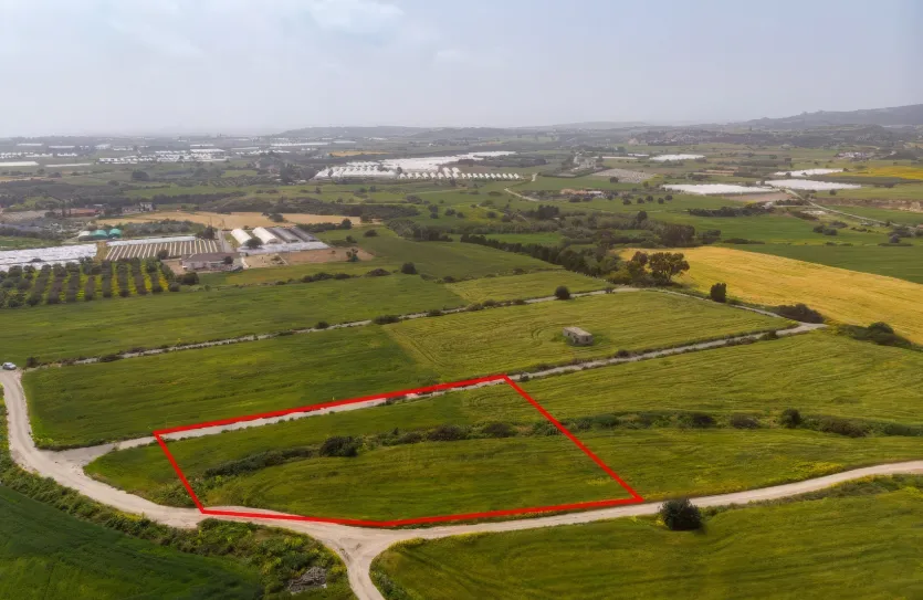 Land - 13646, photo 2