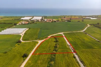 Land - 13646, photo 2