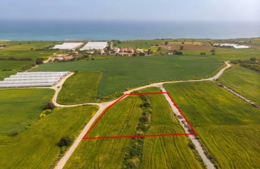 Land - 13646, photo 3