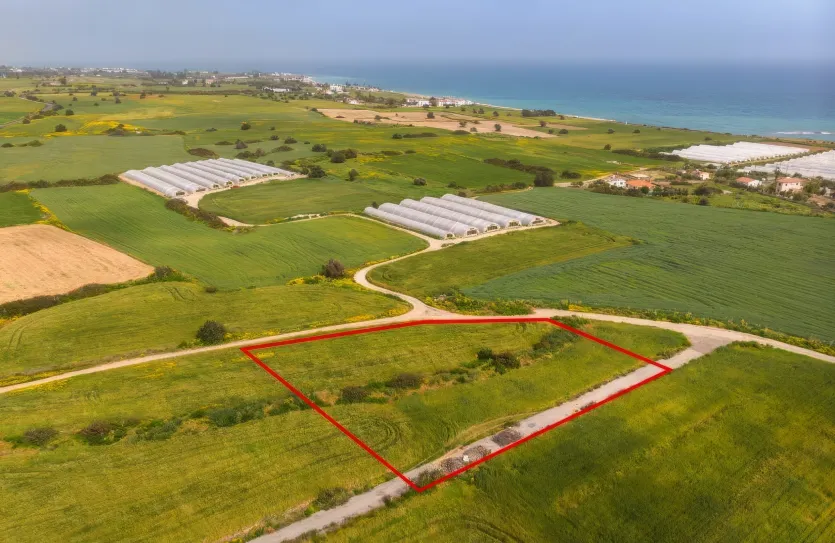 Land - 13646, photo 4