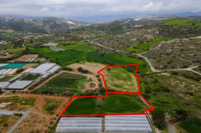 Land - 13625, photo 1