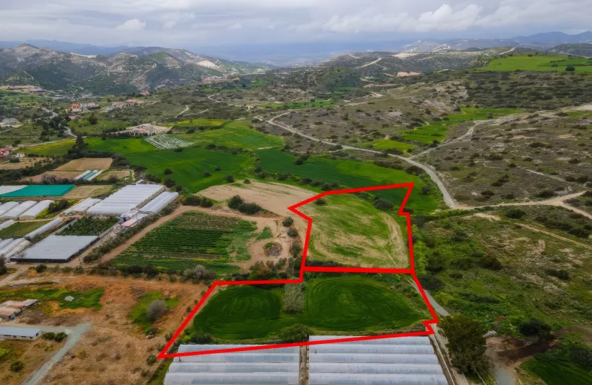 Land - 13625, photo 7