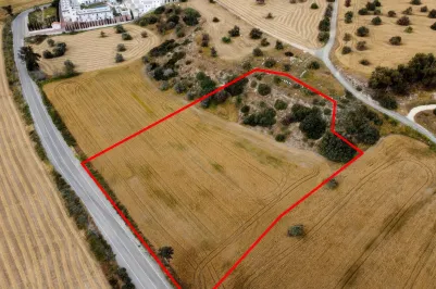 Land - 13610, photo 2