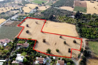 Land - 13609, photo 1