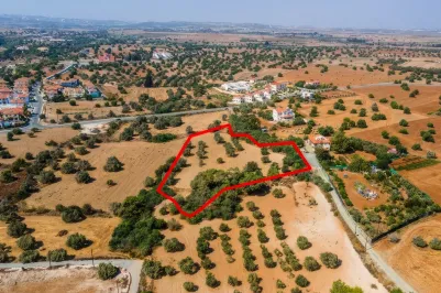 Land - 13589, photo 2