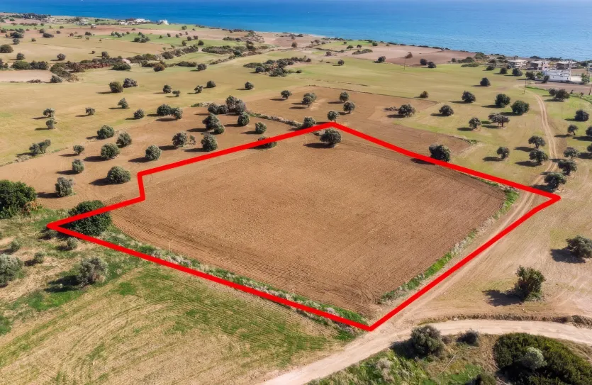 Земельный участок - 13576, photo 2