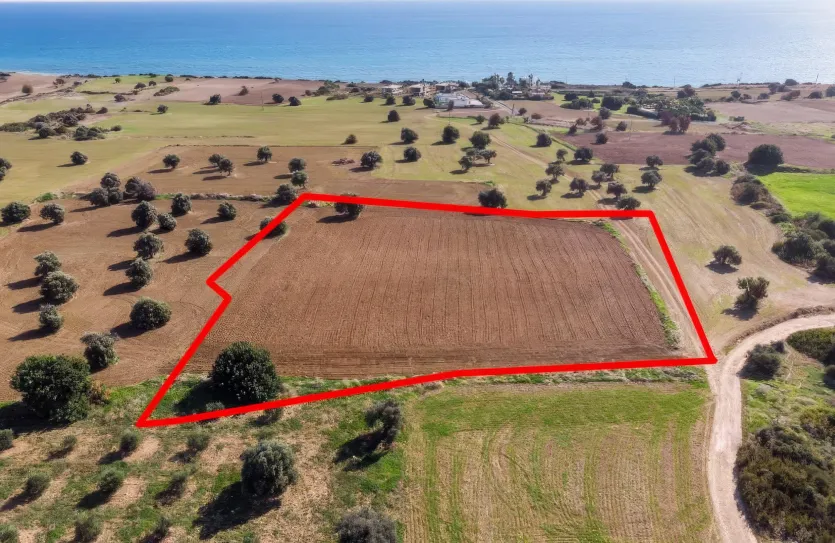 Земельный участок - 13576, photo 3