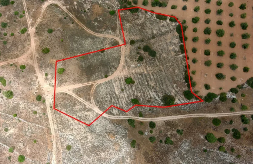 Land - 13674, photo 10