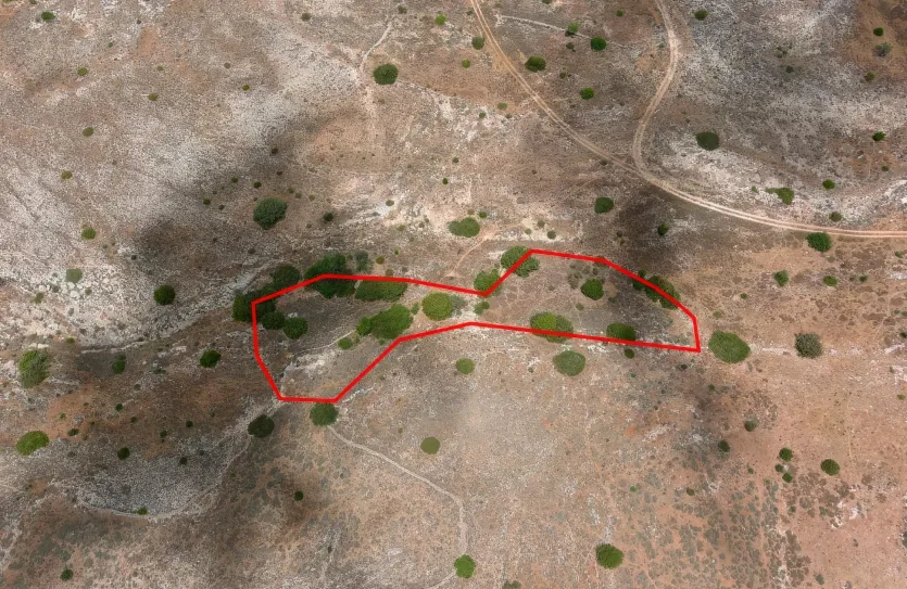 Land - 13674, photo 12