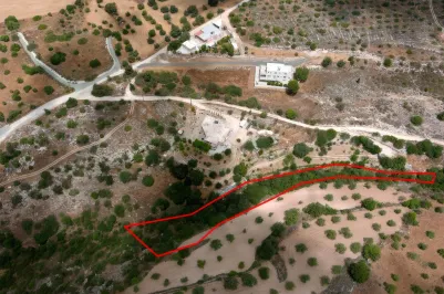 Land - 13674, photo 2