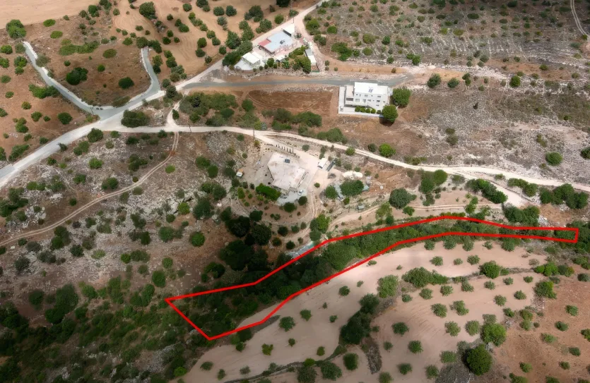 Land - 13674, photo 3