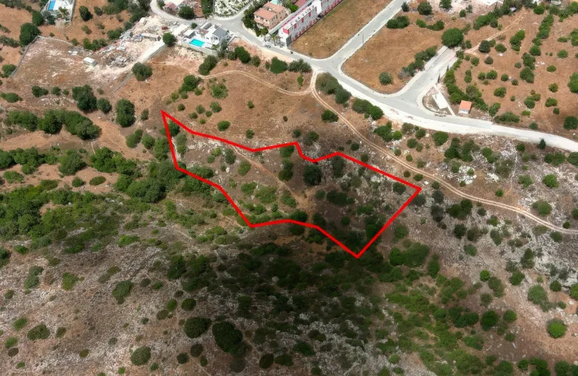 Land - 13674, photo 4