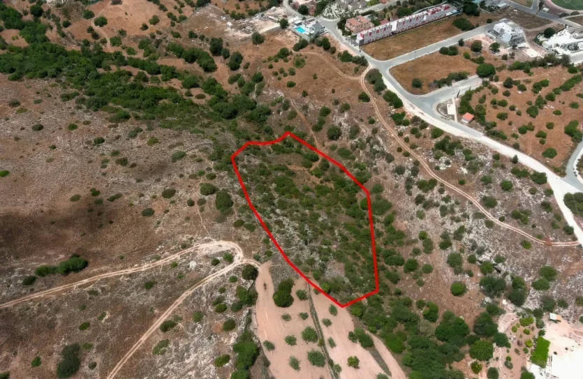 Land - 13674, photo 5