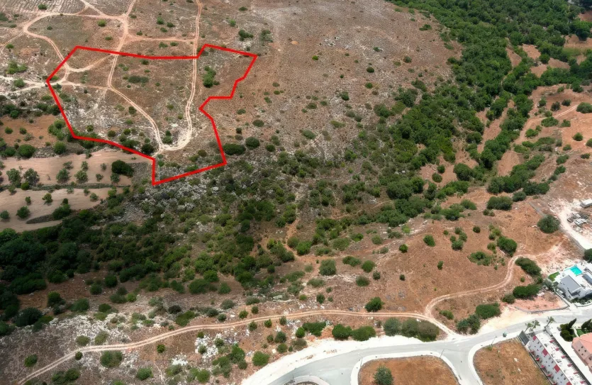 Land - 13674, photo 7