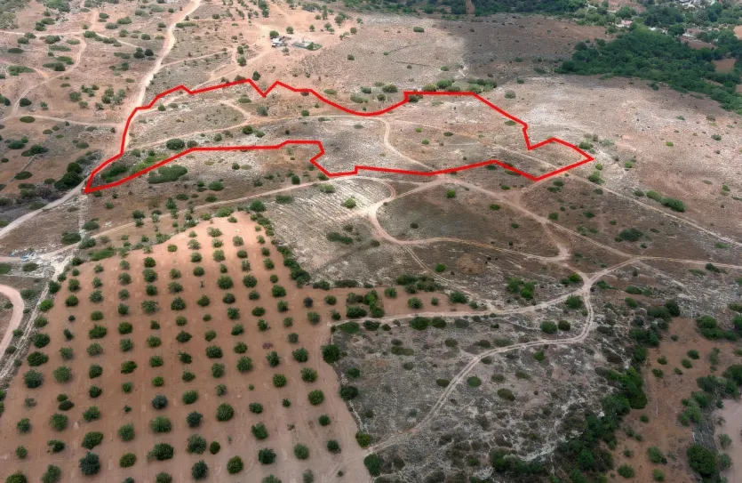 Land - 13674, photo 8