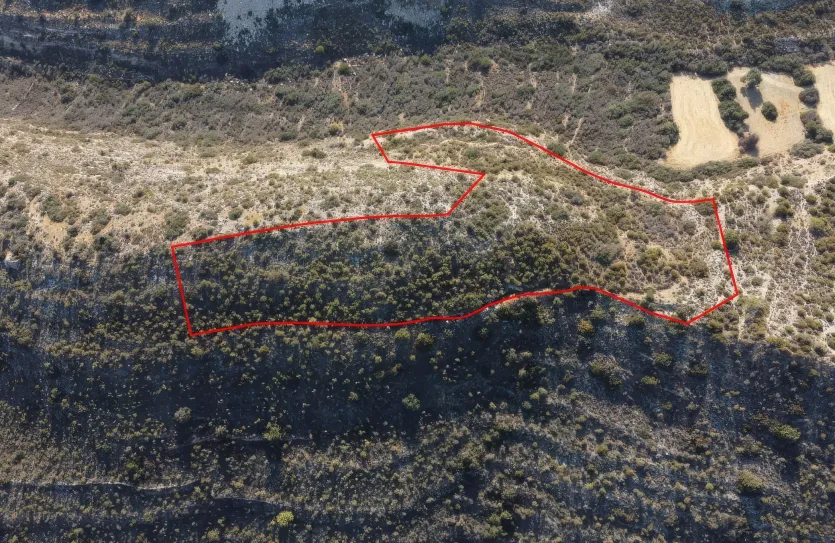 Land for sale - 13668