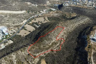 Land - 13668, photo 1