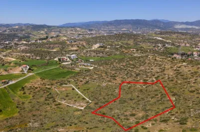 Land - 13664, photo 1