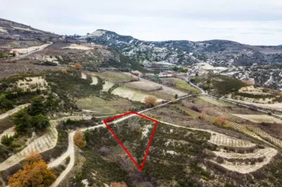 Land - 13662, photo 1