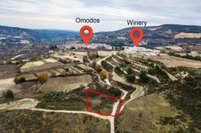 Land - 13662, photo 2