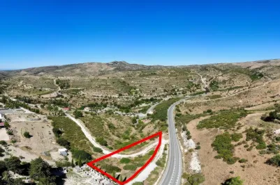 Land - 13659, photo 2