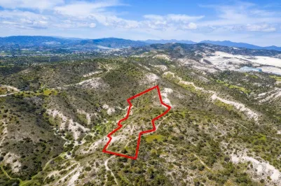 Land - 13658, photo 1