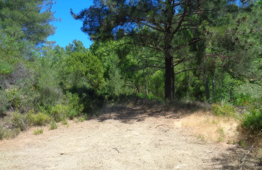 Land for sale - 13652